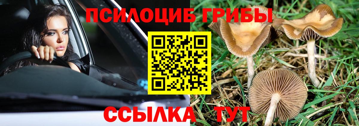 Псилоцибиновые грибы мухоморы  Вход с VPN  Серов 