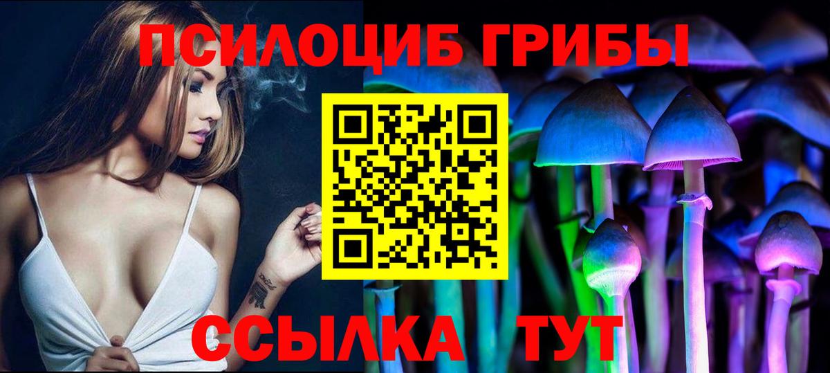 Псилоцибиновые грибы GOLDEN TEACHER Серов